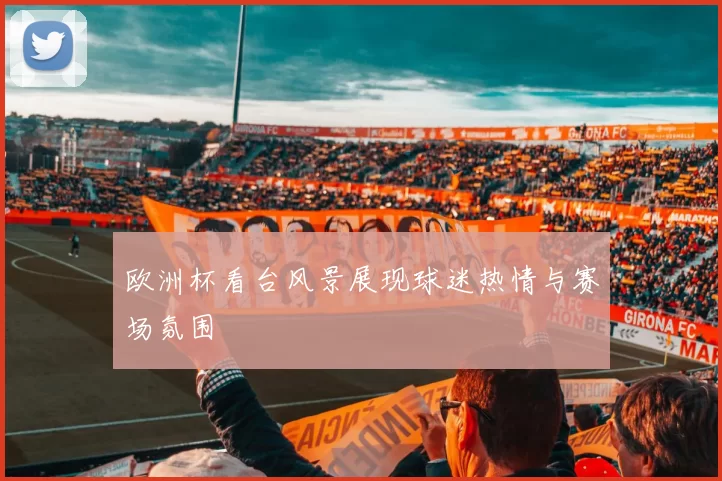 欧洲杯看台风景展现球迷热情与赛场氛围
