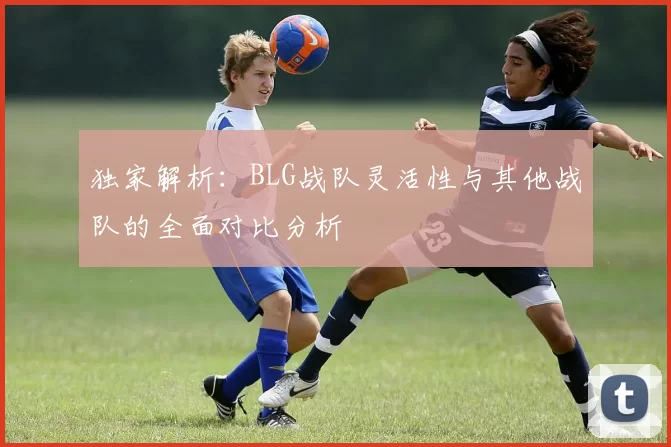 独家解析：BLG战队灵活性与其他战队的全面对比分析