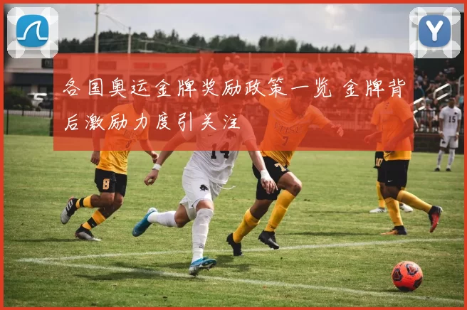 各国奥运金牌奖励政策一览 金牌背后激励力度引关注