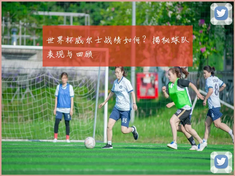世界杯威尔士战绩如何？揭秘球队表现与回顾