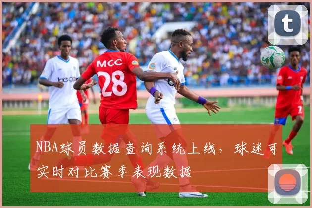 NBA球员数据查询系统上线，球迷可实时对比赛季表现数据