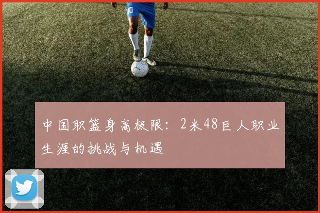 中国职篮身高极限：2米48巨人职业生涯的挑战与机遇