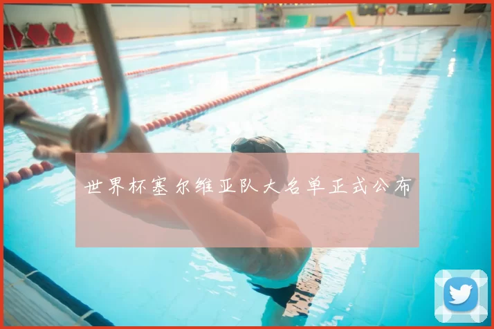 世界杯塞尔维亚队大名单正式公布