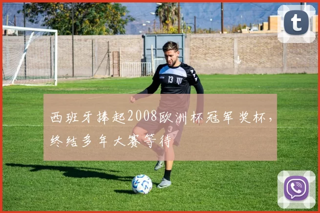 西班牙捧起2008欧洲杯冠军奖杯,终结多年大赛等待