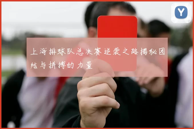 上海排球队总决赛逆袭之路揭秘团结与拼搏的力量