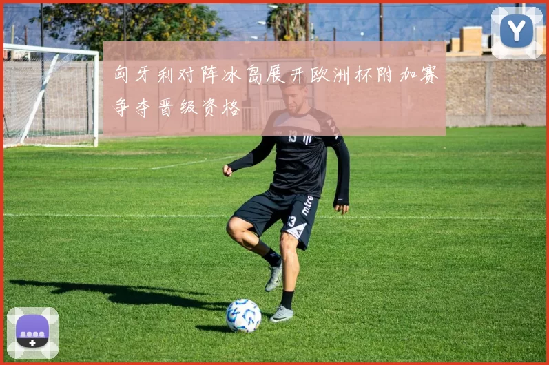 匈牙利对阵冰岛展开欧洲杯附加赛争夺晋级资格