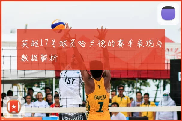 英超17号球员哈兰德的赛季表现与数据解析