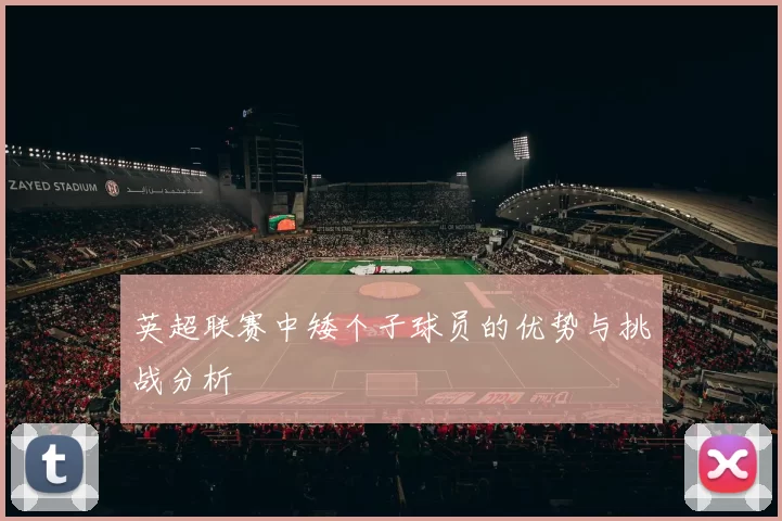 英超联赛中矮个子球员的优势与挑战分析