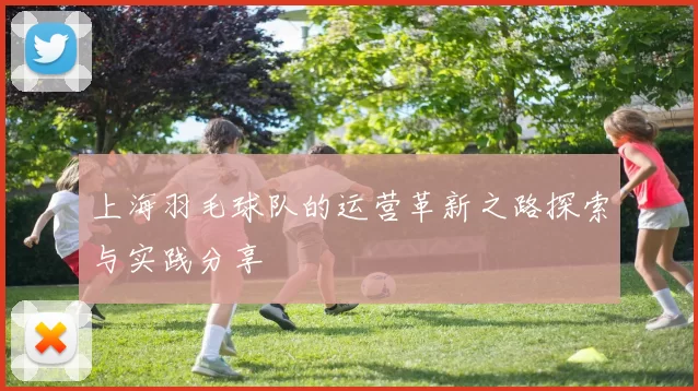 上海羽毛球队的运营革新之路探索与实践分享