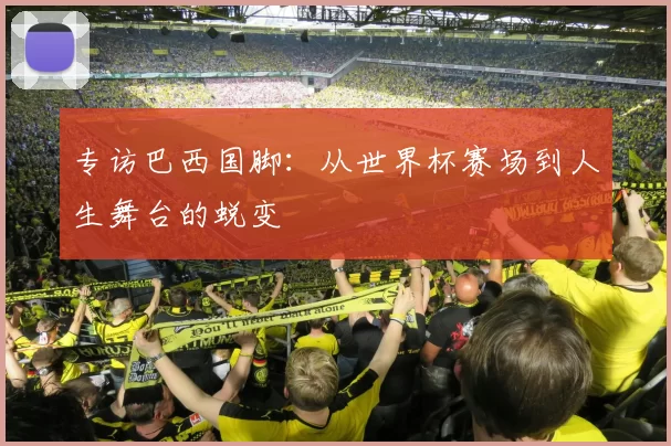 专访巴西国脚：从世界杯赛场到人生舞台的蜕变