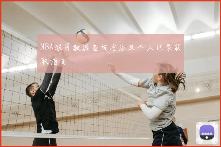 NBA球员数据查询方法及个人记录获取指南