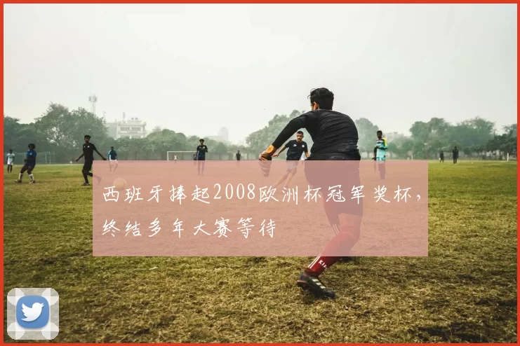 西班牙捧起2008欧洲杯冠军奖杯，终结多年大赛等待